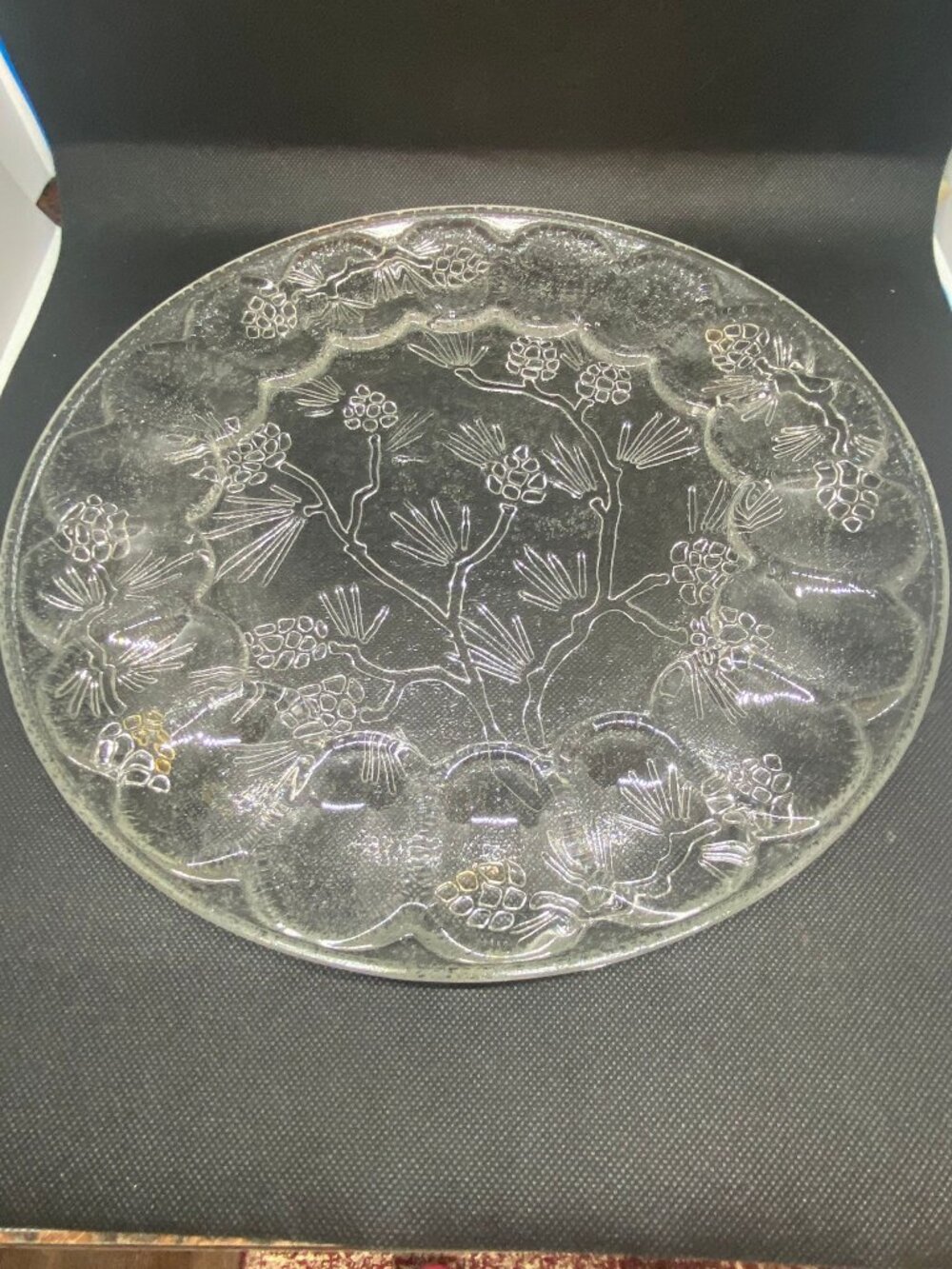Tiara Ponderosa Pine Eggplate